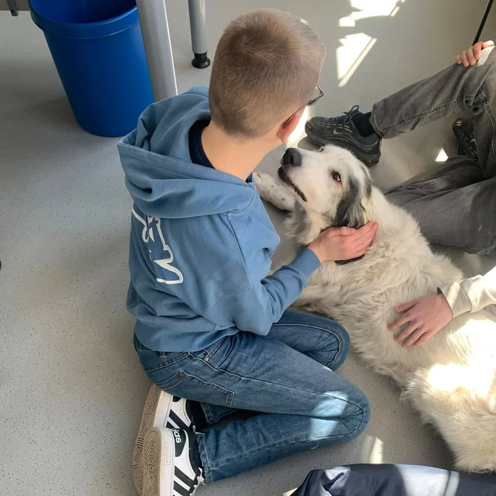 Friedrich-Ebert-Schule Schulhund Lukas Bild 04